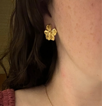 Primrose studs
