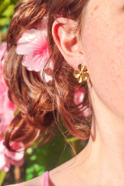 Primrose studs