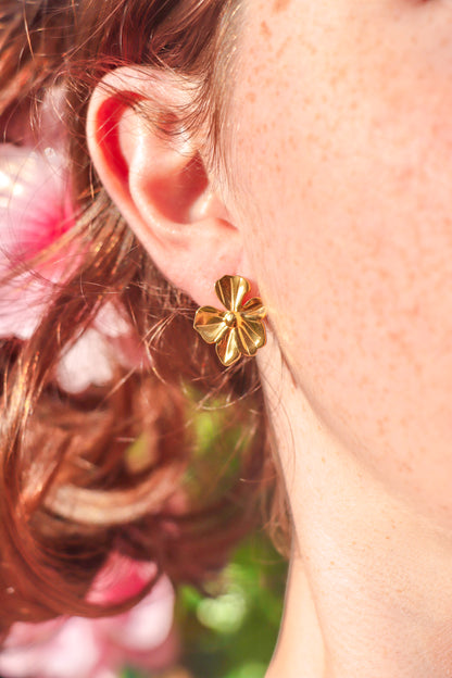 Primrose studs